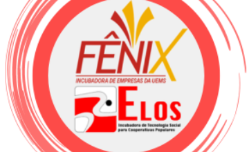 Setor de Incubadoras e Empresas Juniores