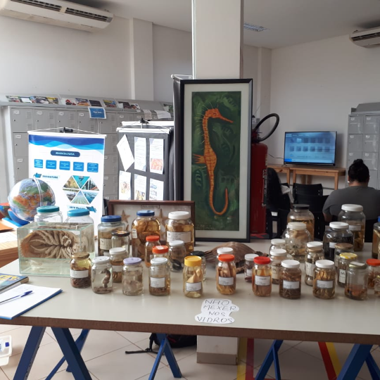 UEMS e UFGD são parceiras na I Exposição da Cultura Oceânica