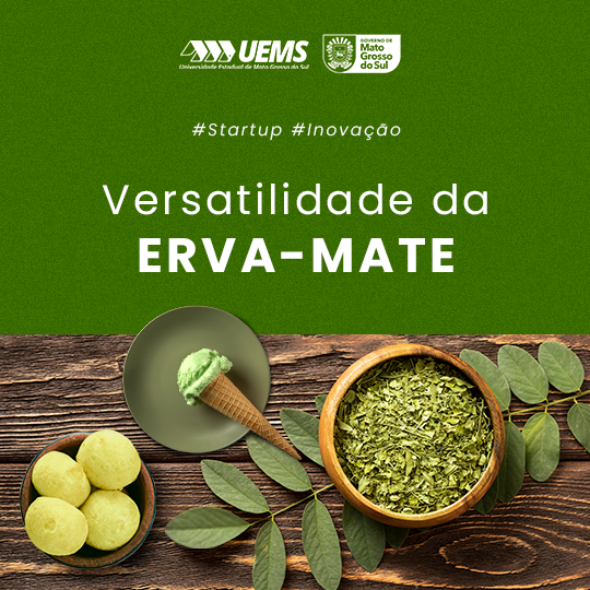 UEMS/Ponta Porã: Pesquisa destaca a versatilidade de derivados da erva-mate por meio de startup