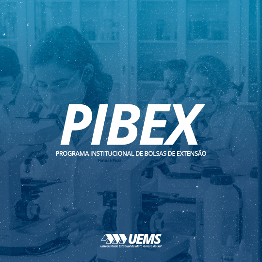 PROEC divulga resultado preliminar das Propostas Enquadradas e Não Enquadradas no PIBEX