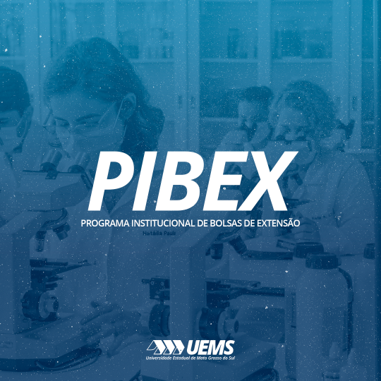 Confira o resultado final do PIBEX 2023