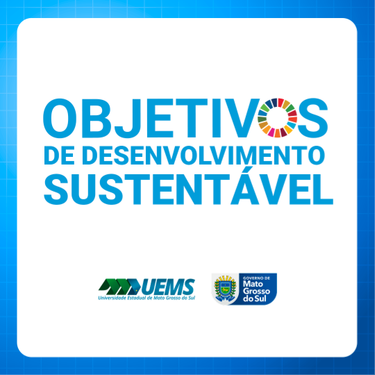 UEMS é finalista para ocupar a vice-presidência internacional sobre impacto acadêmico da Agenda 2030 da ONU