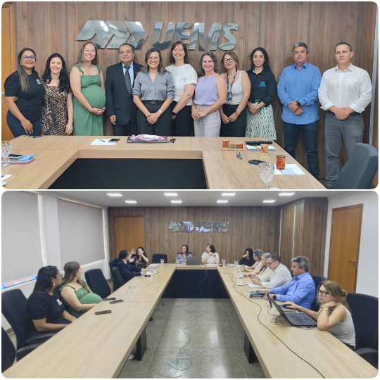DRI/UEMS recebe professor da Universidade Nacional de Assunção para visita técnica