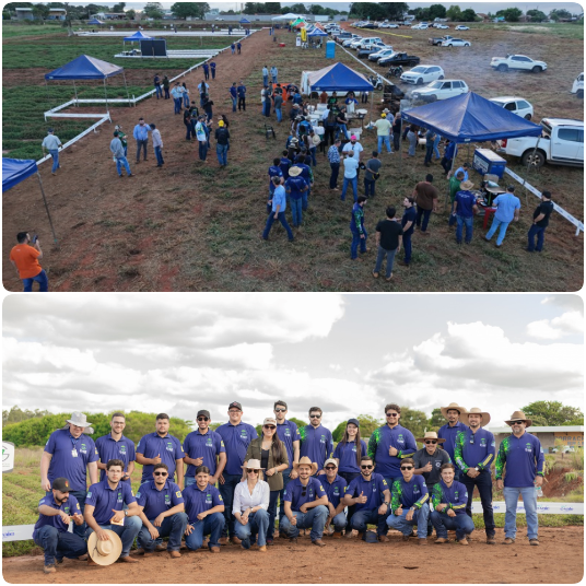UEMS realiza Dia de Campo do Amendoim e fortalece integração com o setor produtivo